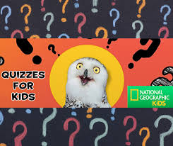 We've created a tricky quiz for you to take on. Pin On Incredible Activities