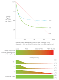 Image result for Thyroid Function Summary