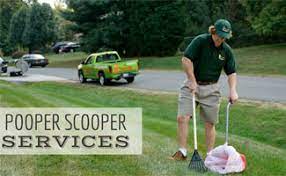 Check spelling or type a new query. Dog Waste Removal Company Online