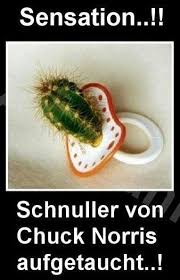 Chuck Norris Lustig Witzig Bild Bilder Spruch Spruche Kram Schnuller Bilder Chuck Lustig Norris Spruch Spruche W Chuck Norris Chuck Norris Funny Norris