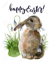 Find cards for every occasion with amazing quality and unique designs. Watercolor Easter Card With Bunny And Snowdrops Hand Painted Print With Traditional Symbols Isolated On White Background Cute Baby Rabbit Illustration For Design Stock Photo Picture And Royalty Free Image Image 73393884