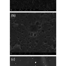 Le 9 janvier 2020, la découverte d'un nouveau coronavirus a été annoncée officiellement par les autorités sanitaires chinoises et l'organisation mondiale de la santé (oms). Scanning Electron Micrograph Of The Top Surface Alumina Thin Film A Download Scientific Diagram