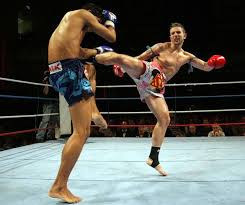 Pin On Bankstown Martial Arts