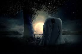 We did not find results for: Hd Wallpaper Horse Fairy Night Magic Fantasy Mystical Nature Mysterious Wallpaper Flare