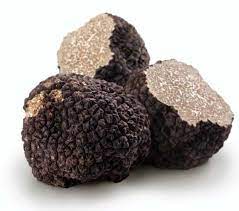 Oak trees and filbert trees are ideal to support truffle growth. Https Www Grit Com Farm And Garden Crops How To Grow Truffles Zm0z14mjzsin