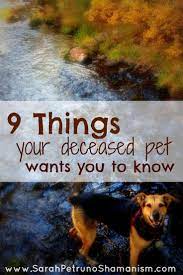 Find out what to do if your dog dies at home. 9 Things Your Deceased Pet Wants You To Know Sarah Petruno Shamanism Pets Dog Love Dogs
