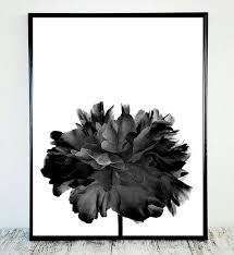 Black And White Flower Framed Wall Art Black And White Print Black White Peony Black By Cristylclear White Flower Pictures Black And White Abstract Flower Pictures