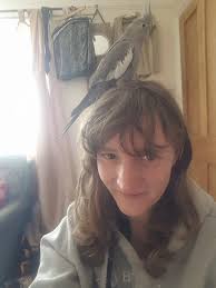 WhiCh PotOo are you today? *Pretend those 2 letters are reversed* 🤷🏼‍♀️