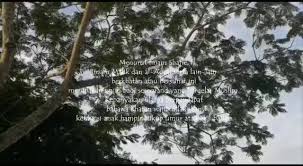 Samehadaku.vip adalah situs download dan nonton anime sub indo samehada terlengkap dan terupdate dengan link nonton anime gratis setiap hari. Surau Al Muhajirin Su3 Home Facebook