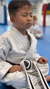 Jr. Hapki is our Martial Arts Self Defense Class for Ages 4-5. We focus