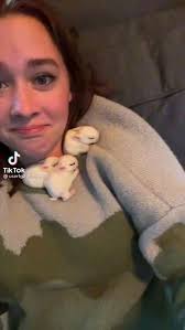 Janette Meyer (janettemeyer1976)