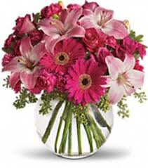 Modesto exotic flowers is located in modesto city of california state. Modesto Exotic Flowers