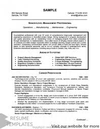Resume Template Download Free Microsoft Word Professional Resume Examples Professional Resume Samples Resume Template Examples