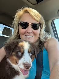 What's it like having three Australian Shepherds?