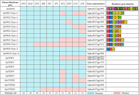 Check spelling or type a new query. Frontiers Genome Wide Analysis Of Secondary Metabolite Gene Clusters In Ophiostoma Ulmi And Ophiostoma Novo Ulmi Reveals A Fujikurin Like Gene Cluster With A Putative Role In Infection Microbiology