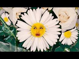 Check spelling or type a new query. George Moir Flowers Lyrics Genius Lyrics