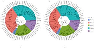 Amidst massive clothing sales and a temporary bookstore shutdown, oklahoma christian university students waited in anticipation for the new store, operated by tree of life, which opened march 1. Viruses Free Full Text Comprehensive Analysis Of Codon Usage On Porcine Astrovirus Html