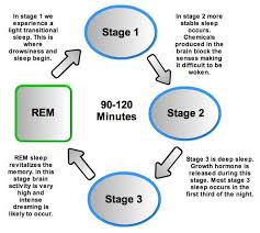 A Sleep Cycle Is Usually 90 Minutes The First Stage Is The Slow And Fast Brain Activity The Second Involves Shor Rem Sleep Cycle Rem Sleep Rem Sleep Disorder