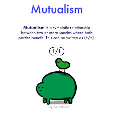Check spelling or type a new query. Mutualism Definition Examples Expii