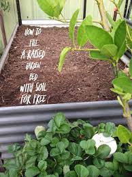 Attractive cedar raised beds are an asset to your landscape. How To Fill A Raised Garden Bed With Soil For Free Permablitz Melbourne