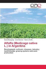 Alfalfa (Medicago sativa L.) in Argentina: Development, cultivars,  diseases, industry, multifoliolate, grazing systems and seed production:  Basigalup, ...