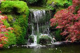 Video cara membuat air terjun pada kolam koi dari barang bekas yang ada disekitar kita, dengan menggabungkan jerigen plastik bekas apa saja dengan baju bekas. Yuk Percantik Taman Dengan Air Terjun Buatan Rumah Dan Gaya Hidup Rumah Com