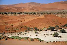 Sossusvlei – Travel guide at Wikivoyage