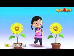 Manfaat bunga matahari baik biji dan minyaknya adalah untuk jantung, peradangan, anti penuaan, dll. Lagu Upin Ipin Bunga Matahari Terbaru Hd Youtube