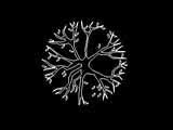 We did not find results for: Arboles Autocad Plantas Vegetacion Dwg Dwgautocad Com