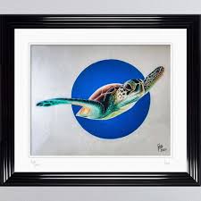 Turtle shells have become a popular image in art with framed prints often displaying shells with unique coloring. Seca One Sea Turtle Limited Edition Framed Wall Art Fab Home Interiors