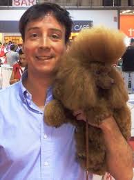 Alderrabel l Criadores de caniches toy