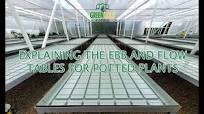 Explaining Ebb and Flow tables in a greenhouse for potted plants. Water conservation is important!