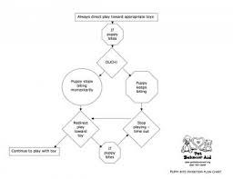 Pet Behavior Aid Bite Flow Chart Animal Hospital Of North