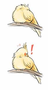 Vital Pieces Of Lumps On Neck Healthy Medicine Tips Cute Animals Cute Birds Animal Art