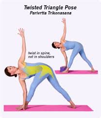 Twist Poses In Yoga Yoga For You
