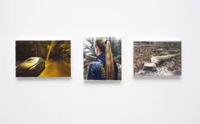 Bildergebnis für Robert Devriendt