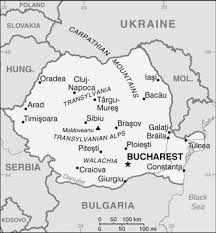 500360 este codul poştal alocat căii bucureşti, nr. Dena