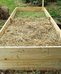 Notre Premier Potager En Lasagnes Prunelle Sauvage Jardin En Carre Potager Permaculture Potager Bio