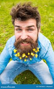 30,015 Handsome Man Beard Green Stock Photos