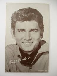MICHAEL LANDON
