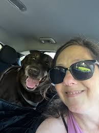 Lab rescue thanks transporters for help