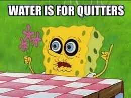 Pin On Wanderluster S Camping