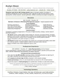 student resume monster.com