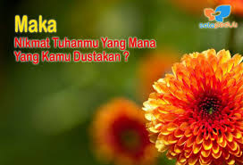 Baca betapa banyak nikmat yang telah allah berikan. Maka Nikmat Tuhanmu Yang Mana Yang Kamu Dustakan