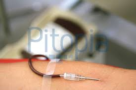 Einige zeit schon beschäftigt mich das thema blutspenden. Bildagentur Pitopia Bilddetails Blut Spenden Erwo Bild 442693 Blutspende Blutabnahme Spenden Abnahme Nadel Schlauch Arm Menschen Blut