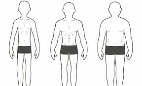 Smooth muscle is found in the walls of hollow organs throughout the body. The Three Different Body Types And How They Affect Your Training