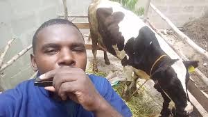 What country to live