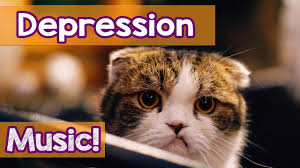 Check spelling or type a new query. How To Make My Cat Stop Crying 15 Hours Music For Cats To Help Your Depressed Kitten Soothing Youtube