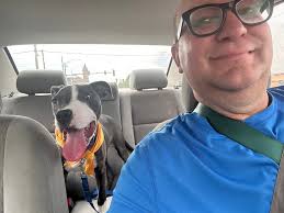 Adopt or foster Lorna at Chicago Animal Care and Control