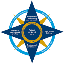 Nurses embrace as foundational to client centred care the following values and beliefs: Professional Practice Model Uc Davis Nursing